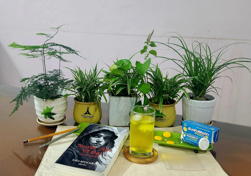 SaVipharm - Ngôi sao thuốc Việt lần thứ 2 tỏa sáng